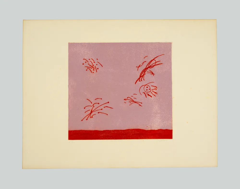 Офорт И Аквитанта Turcato - Composizione