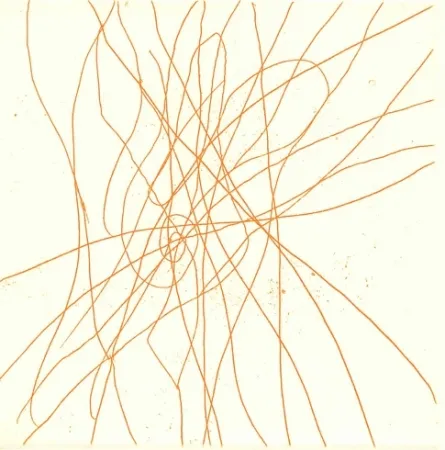 Иллюстрированная Книга Turcato - Poesie giovanili