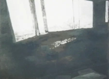 Сериграфия Tuymans - Fenêtres