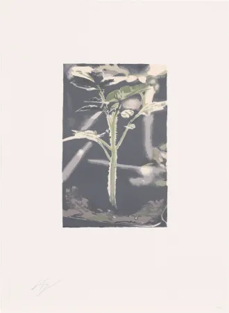 Литография Tuymans - Gene