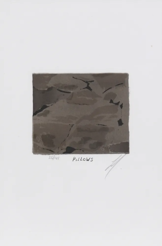 Литография Tuymans - Pillows