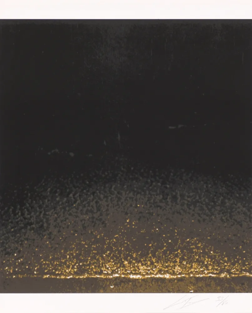 Сериграфия Tuymans - Shore