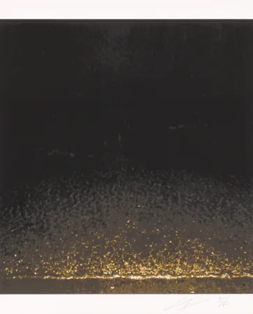 Сериграфия Tuymans - Shore