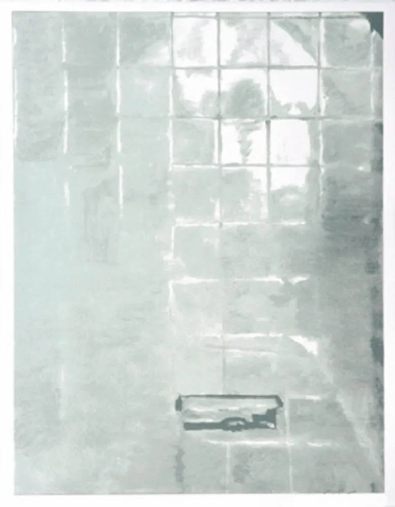 Сериграфия Tuymans - Tiles