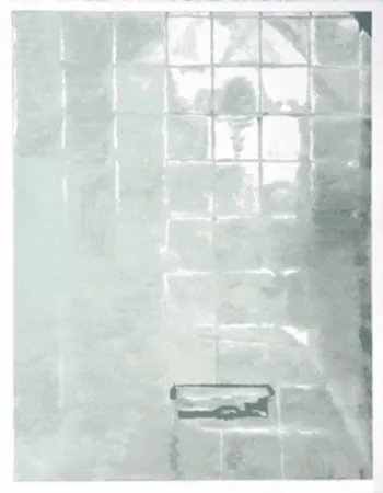 Сериграфия Tuymans - Tiles