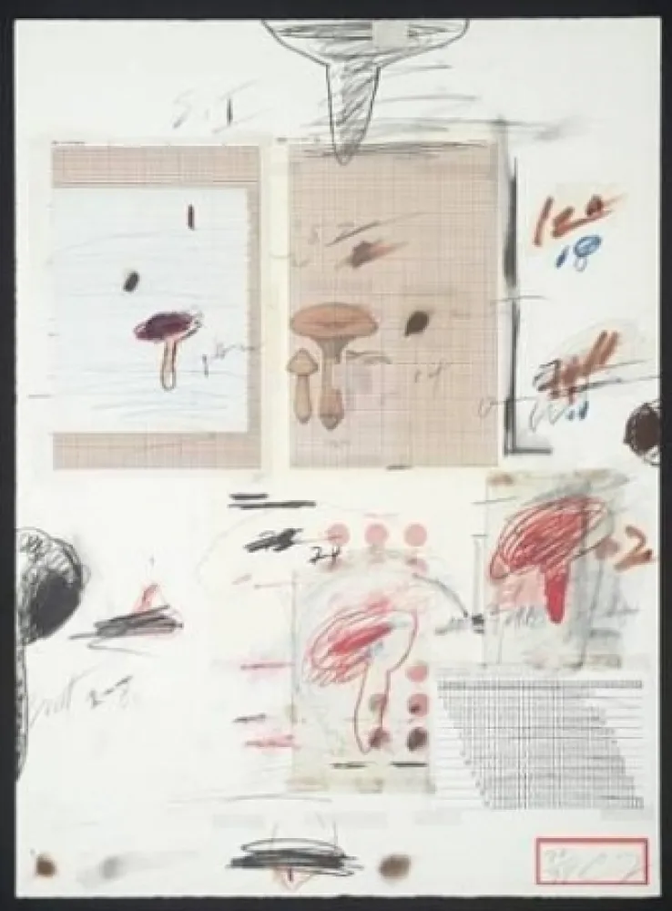 Литография Twombly - Natural History Part I: Mushrooms IV