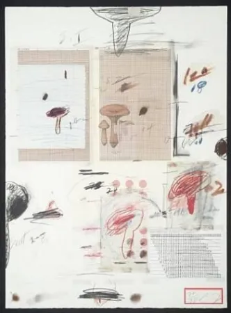 Литография Twombly - Natural History Part I: Mushrooms IV