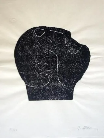 Иллюстрированная Книга Ubac - Comme un sol plus obscur