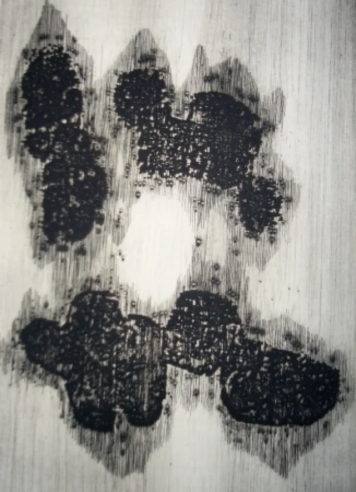 Иллюстрированная Книга Ubac - Lisière du devenir