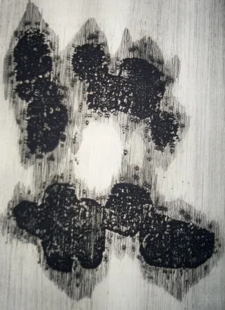 Иллюстрированная Книга Ubac - Lisière du devenir