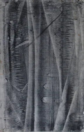 Нет Никаких Технических Ubac - Sans titre