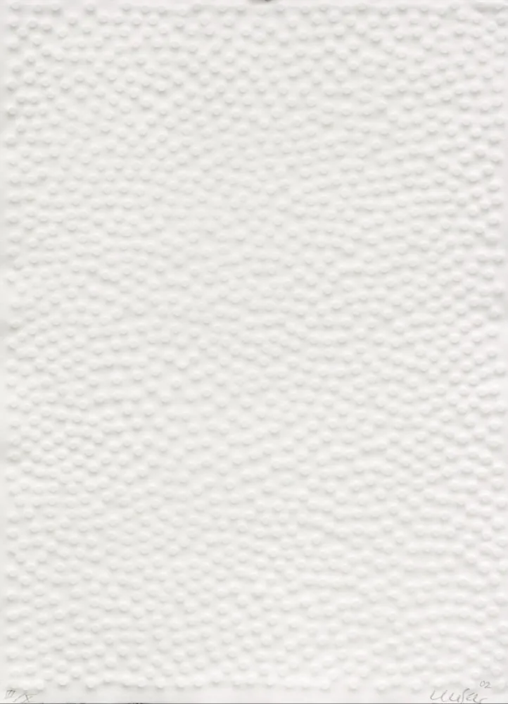 Многоэкземплярное Произведение Uecker - Graphein II, Shang Dynastie