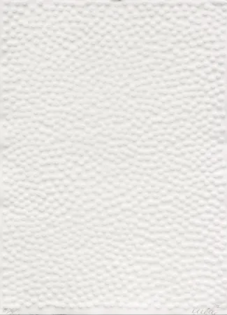 Многоэкземплярное Произведение Uecker - Graphein II, Shang Dynastie