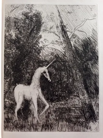 Офорт Unknown - Bestiaire avec 14 eaux-fortes de Pedro Zamorano de Biedma Kerdyk, René (Pedro Zamorano de Biedma) (Léon-Paul Fargue)