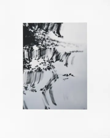 Цифровой Эстамп Usle - Pisuena