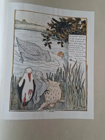 Иллюстрированная Книга Van Hoytema - Het leelijke jonge Eendje