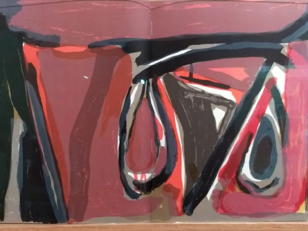 Иллюстрированная Книга Van Velde - DLM 250