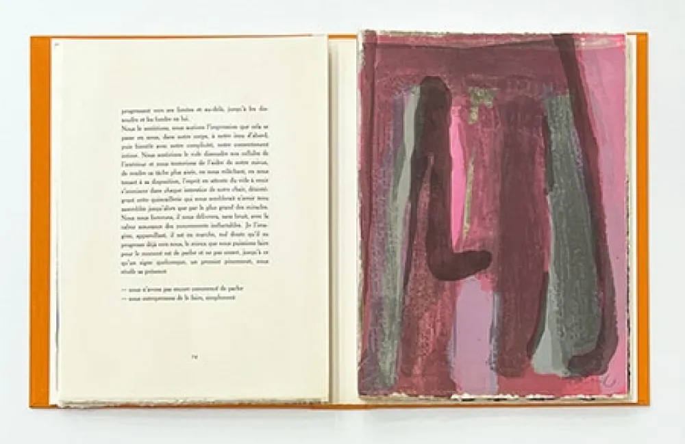 Иллюстрированная Книга Van Velde - L'Envers