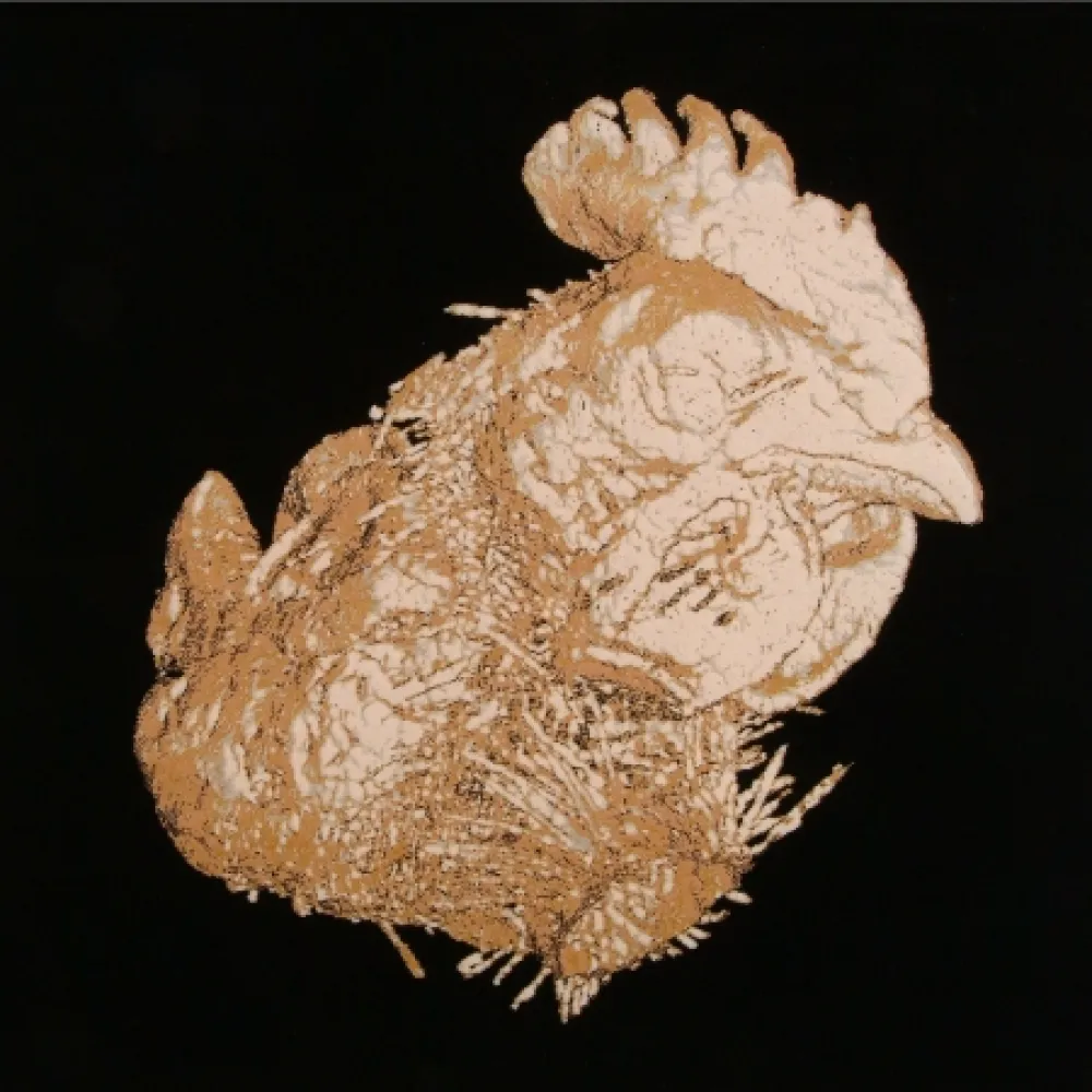 Литография Vanmechelen - Janus