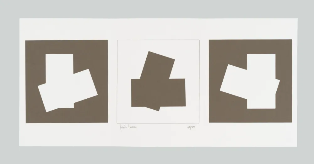 Сериграфия Varisco - Composizione