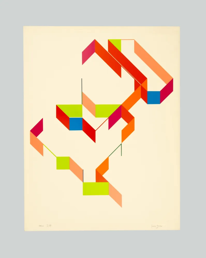 Сериграфия Varisco - Random walks (Tav. E)