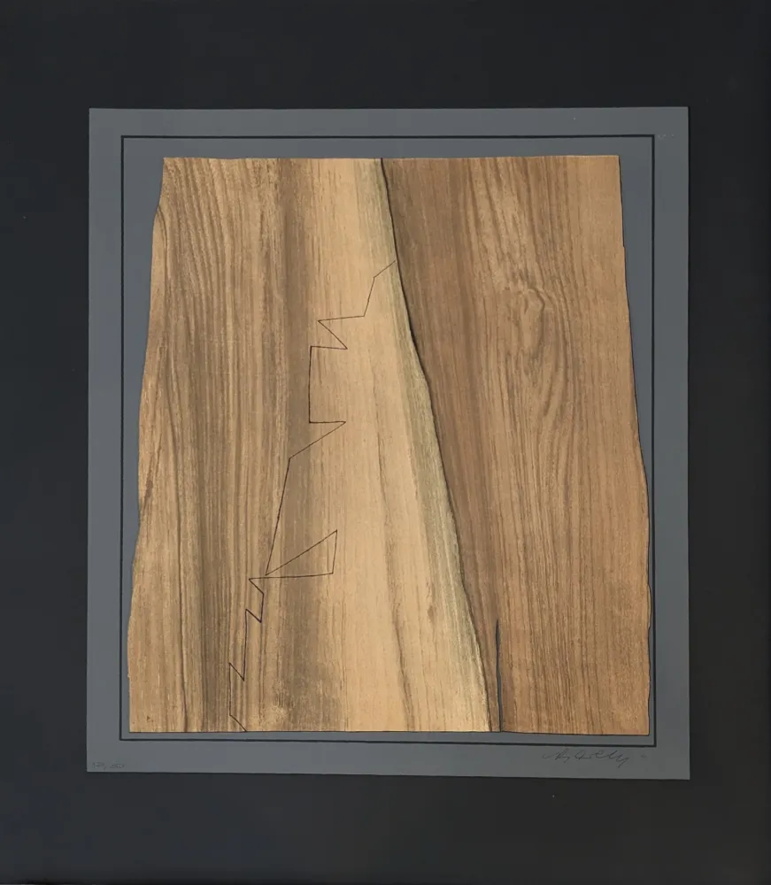 Литография Vasarely - Gordes Nives 