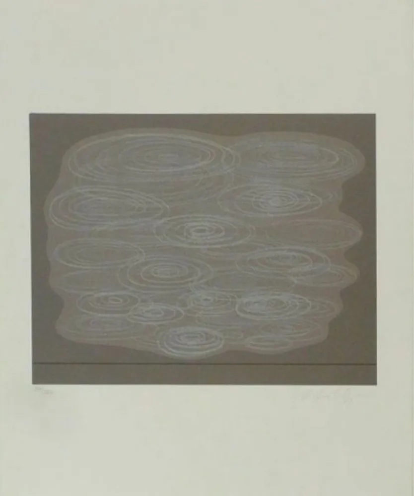 Сериграфия Vasarely - Locmaria