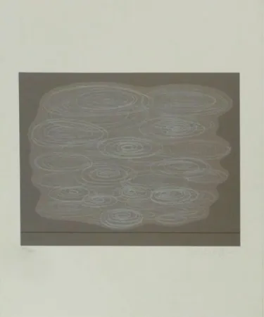 Сериграфия Vasarely - Locmaria