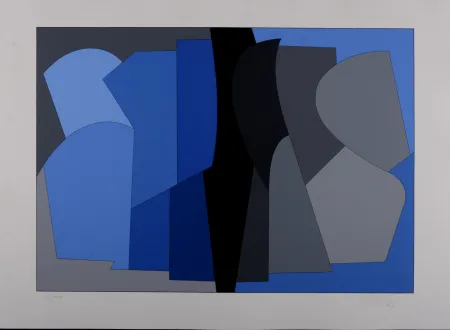 Сериграфия Vasarely - Siris Kek