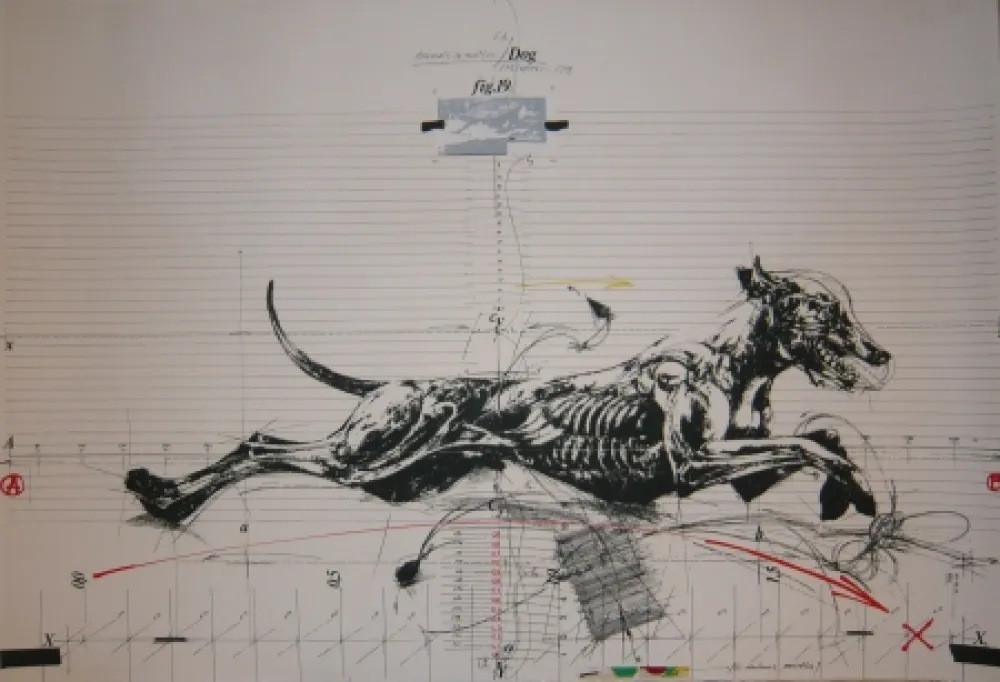 Литография Velickovic - Animals in motion