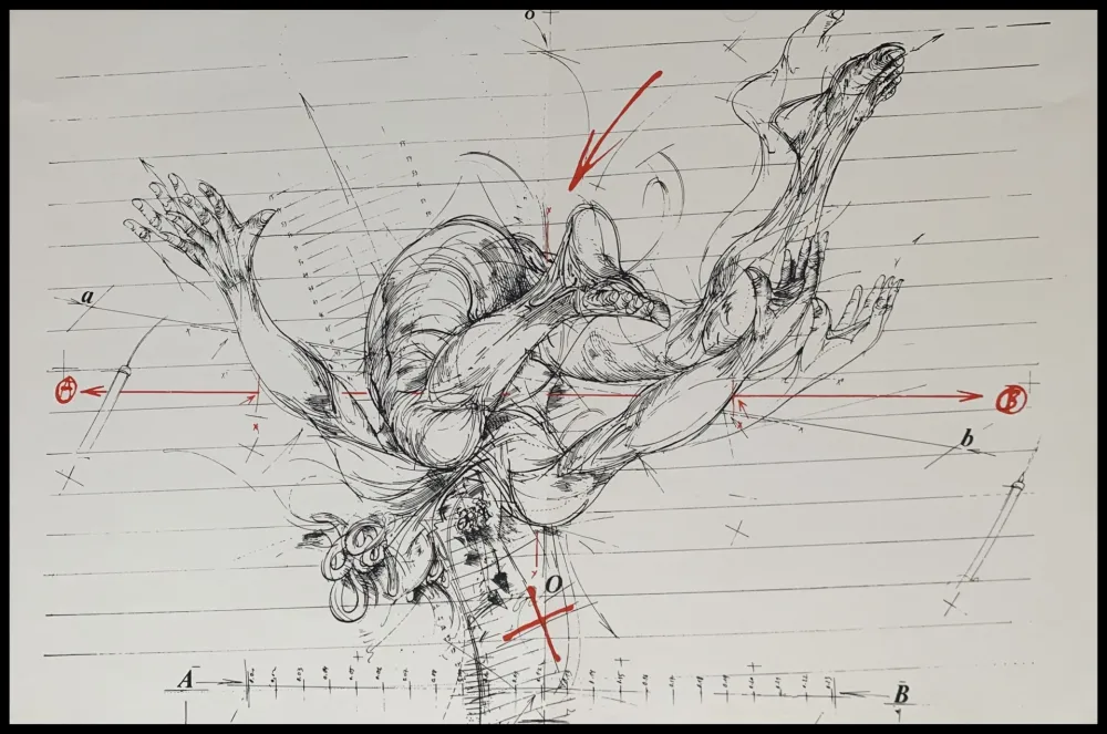 Сериграфия Velickovic - La chute