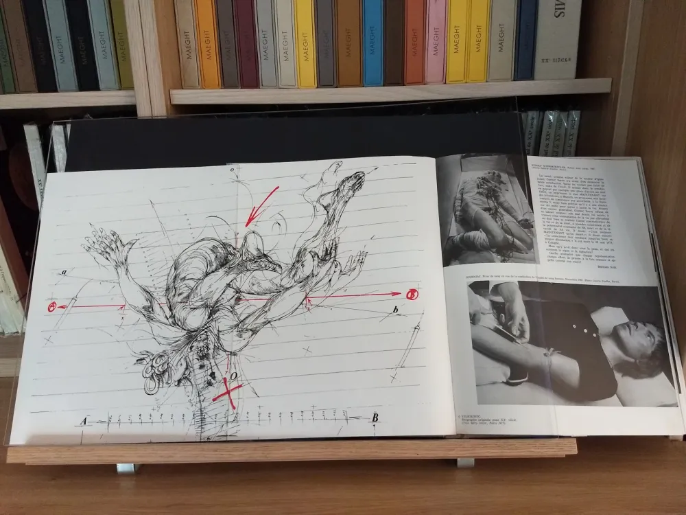 Иллюстрированная Книга Velickovic - No 44