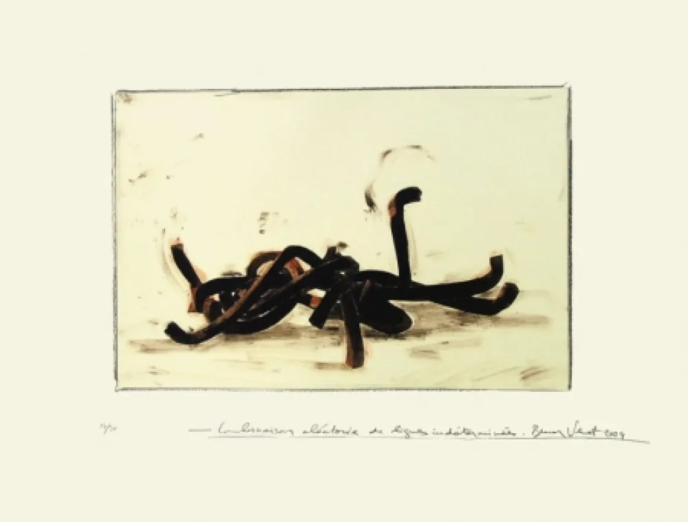 Литография Venet - Combinaison aléatoire de lignes indéterminées 3C