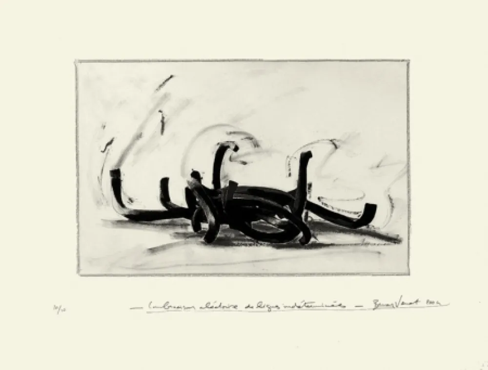 Литография Venet - Combinaison aléatoire de lignes indéterminées 9N