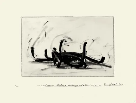 Литография Venet - Combinaison aléatoire de lignes indéterminées 9N