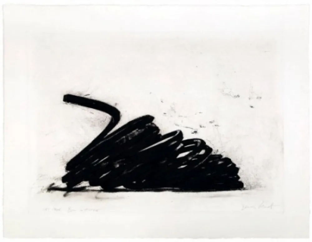 Офорт Venet - Effondrement: Indeterminate lines 