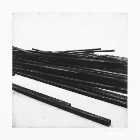 Сериграфия Venet - Lignes droites / désordre 01