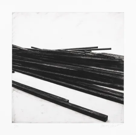 Сериграфия Venet - Lignes droites / désordre 01