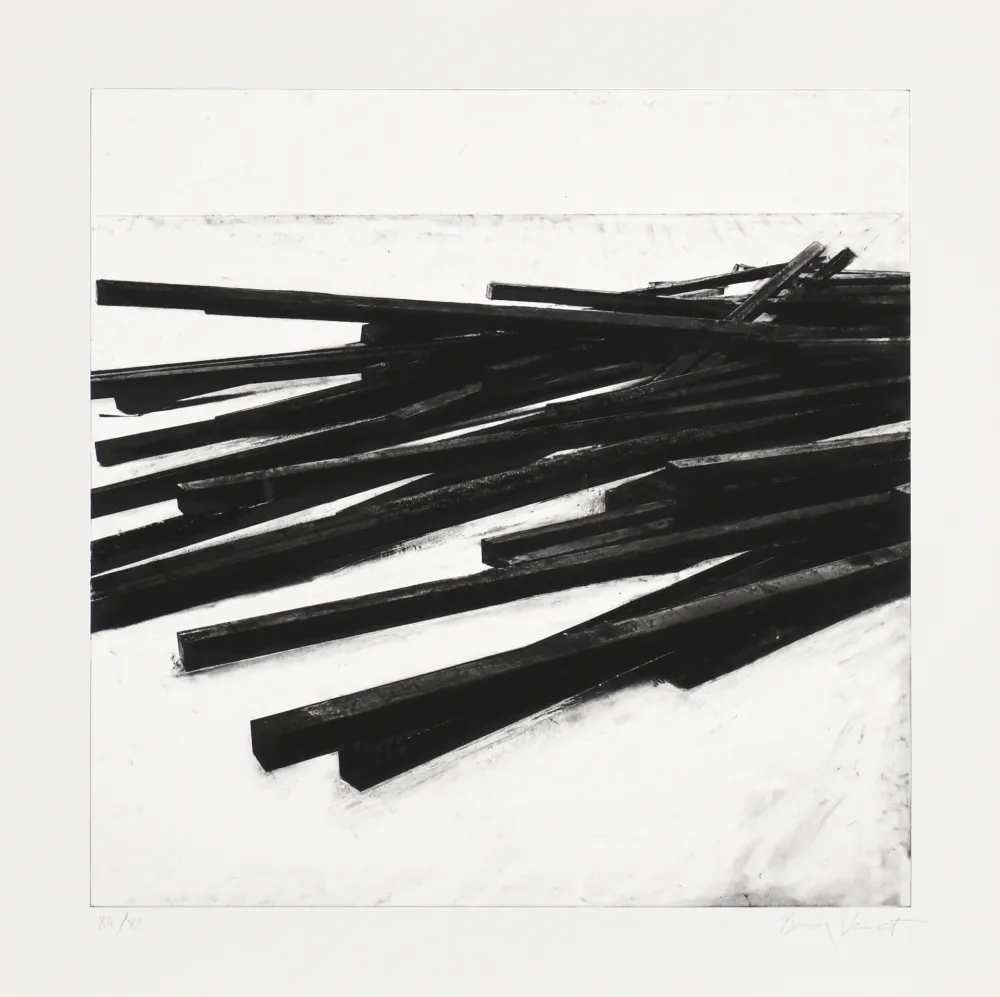 Сериграфия Venet - Lignes droites / désordre 03