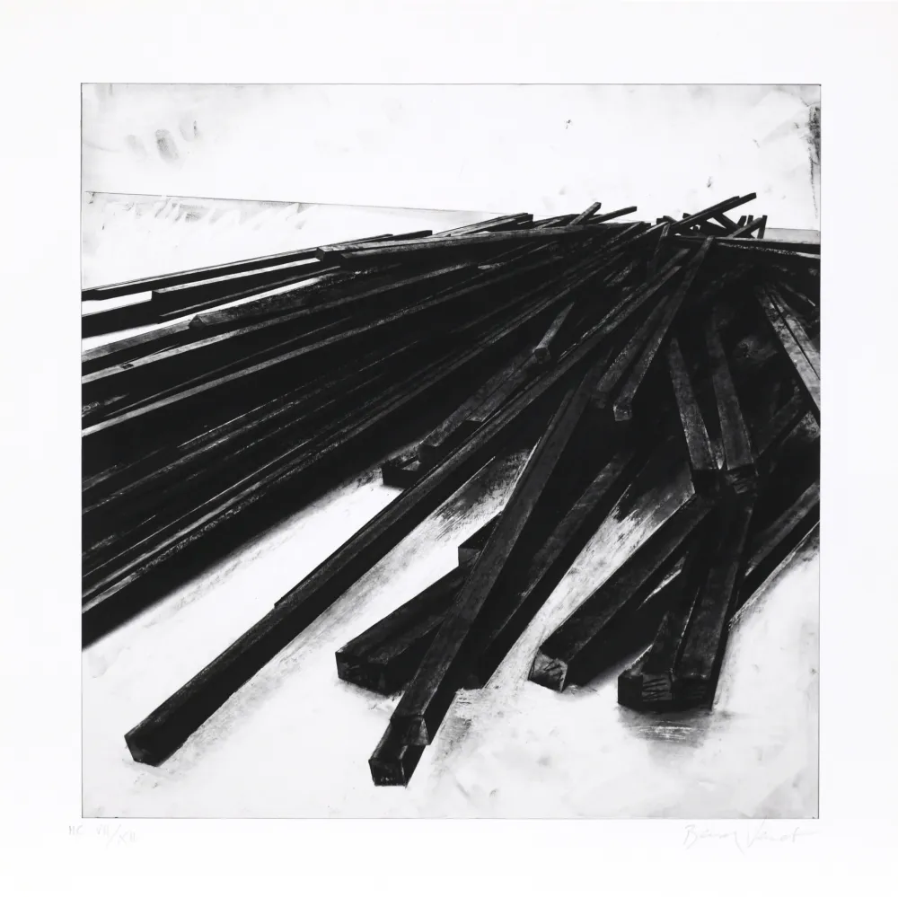 Сериграфия Venet - Lignes droites / désordre 05