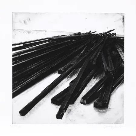 Сериграфия Venet - Lignes droites / désordre 05