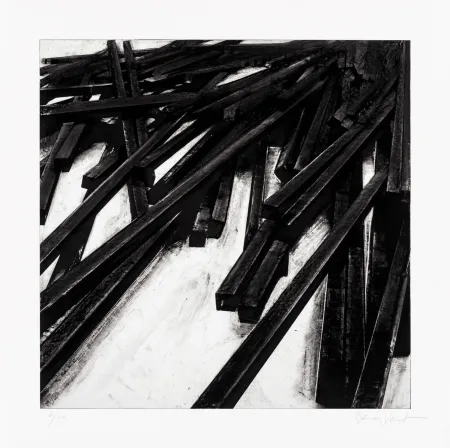 Сериграфия Venet - Lignes droites / désordre 06