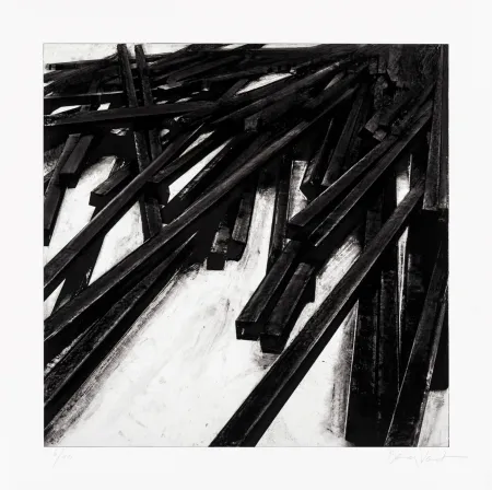 Сериграфия Venet - Lignes droites / désordre 06