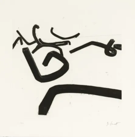 Офорт И Аквитанта Venet - Random Combination of Indeterminate Lines II, c