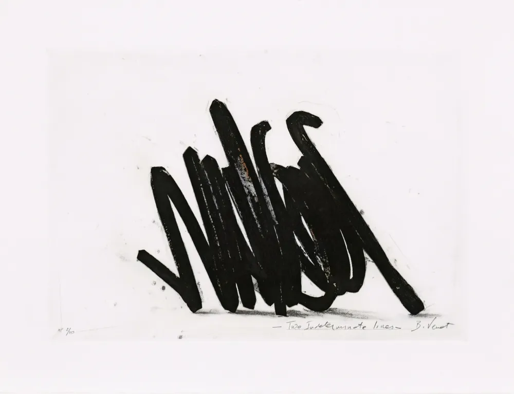 Офорт Venet - Two indeterminate lines 02