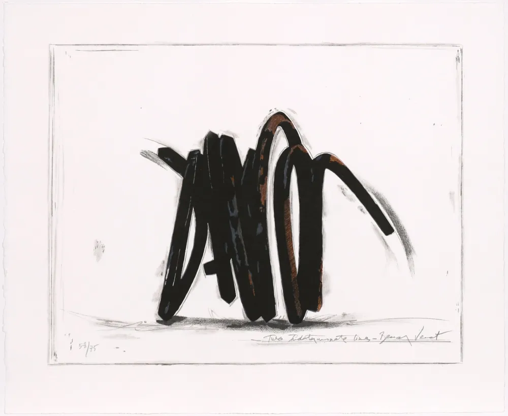 Сериграфия Venet - Two indeterminate lines