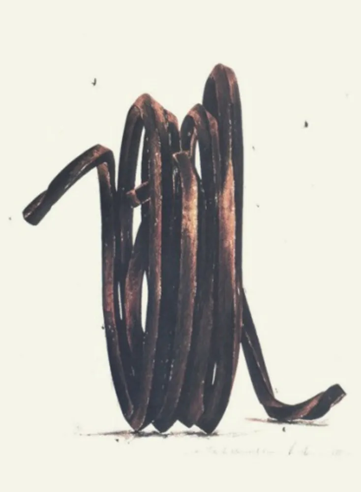 Многоэкземплярное Произведение Venet - Two Undetermined Lines