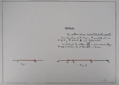 Сериграфия Venet - Un Vecteur