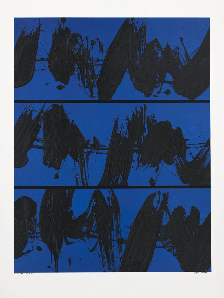 Сериграфия Verdier - Nuit d'opéra à Aix