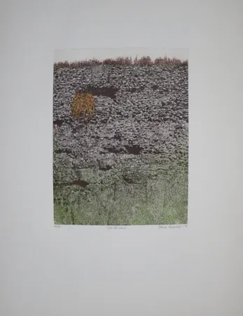 Офорт И Аквитанта Vernunft - Fiori le mura